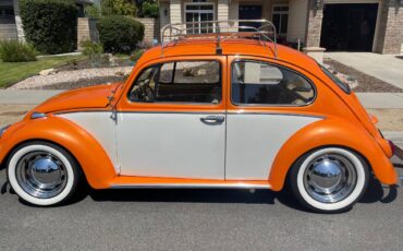 Volkswagen-Vw-bug-1966