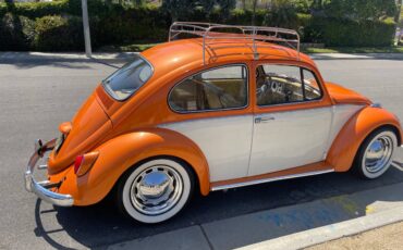 Volkswagen-Vw-bug-1966-5