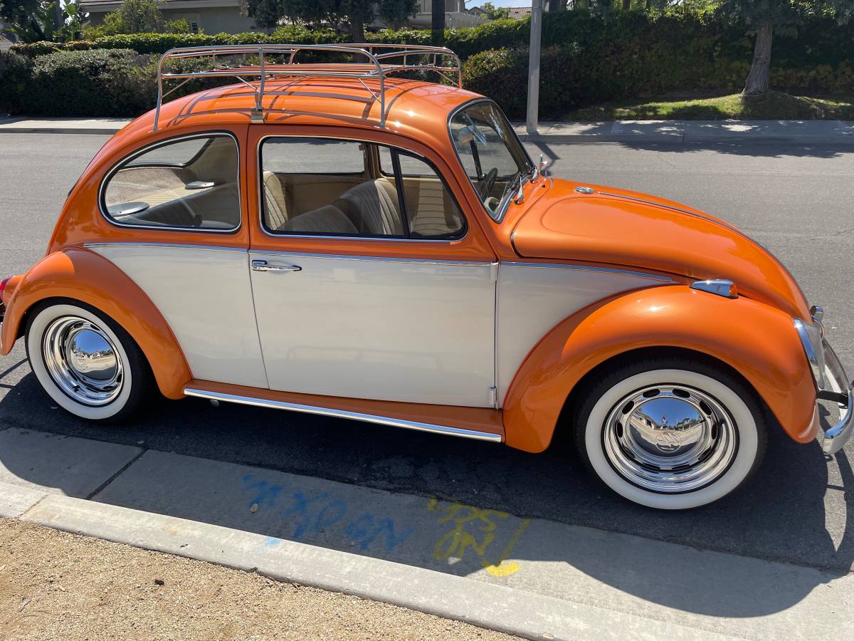 Volkswagen-Vw-bug-1966-6