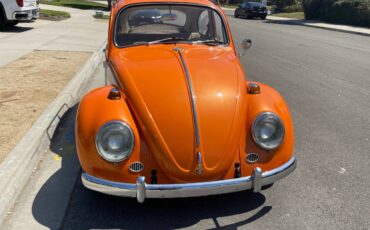 Volkswagen-Vw-bug-1966-7