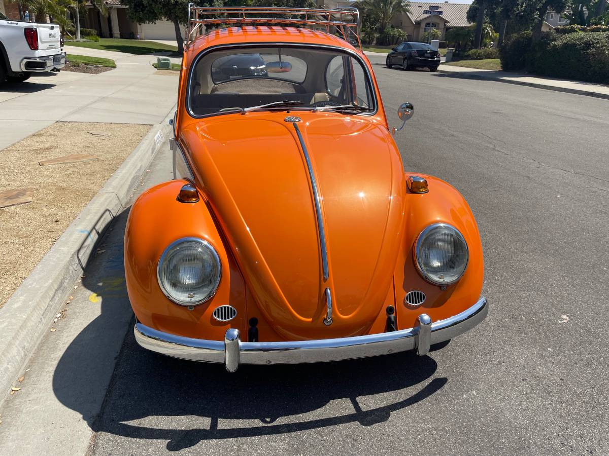 Volkswagen-Vw-bug-1966-7