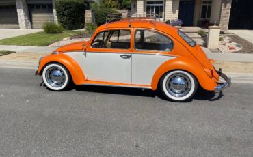 Volkswagen-Vw-bug-1966-8