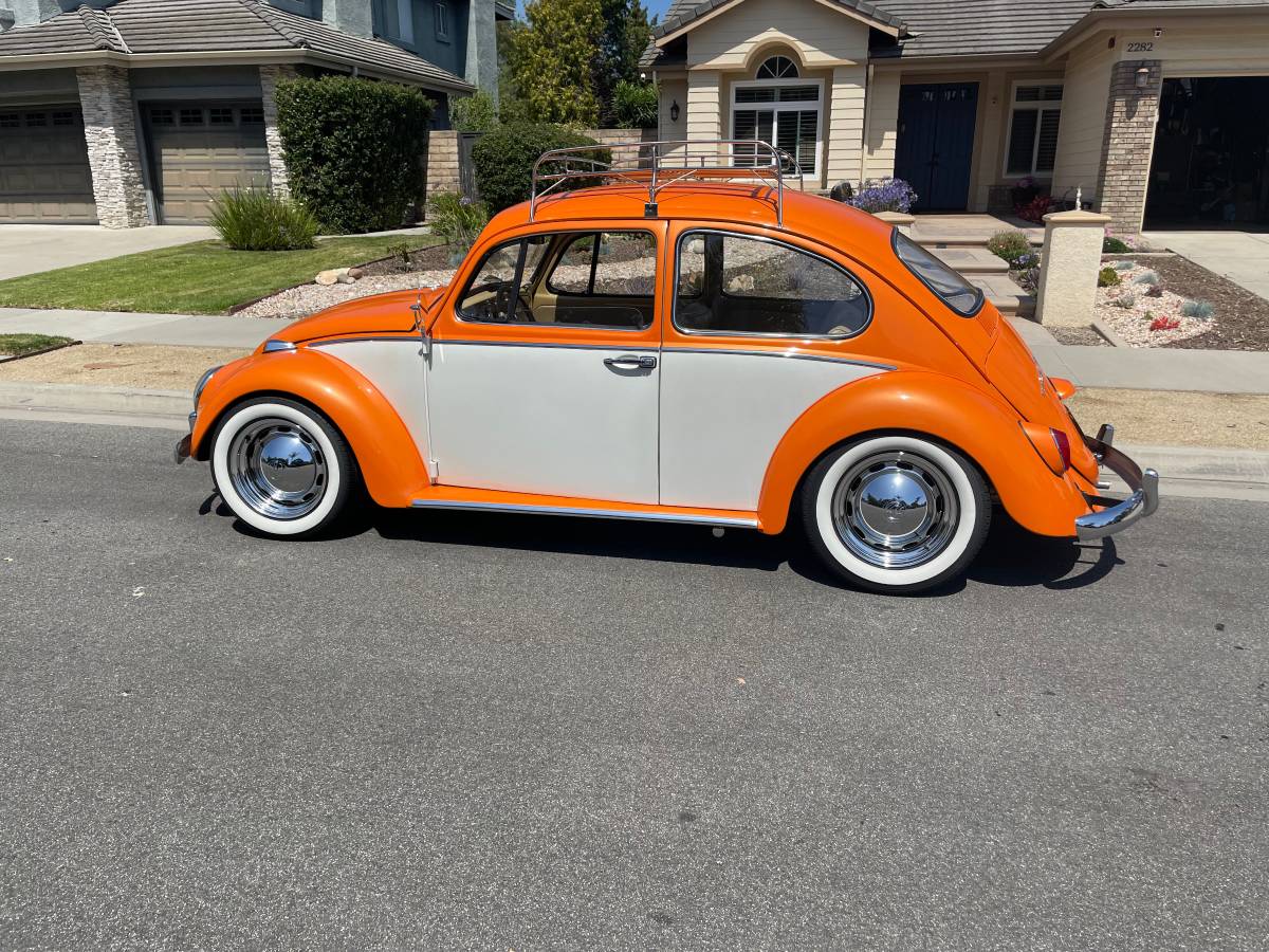 Volkswagen-Vw-bug-1966-8