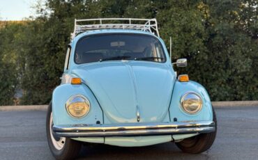 Volkswagen-Vw-bug-1969-2