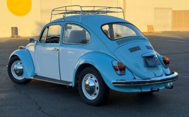 Volkswagen-Vw-bug-1969-4