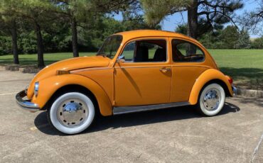 Volkswagen-Vw-bug-1970-2