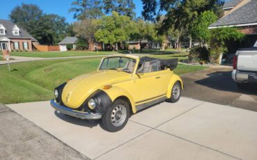 Volkswagen-Vw-super-beetle-1972-11