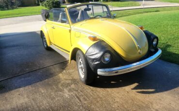 Volkswagen-Vw-super-beetle-1972-2