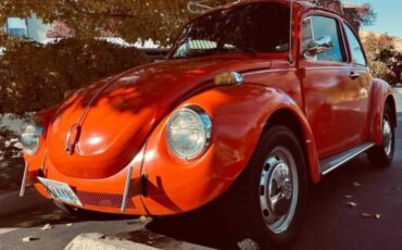 Volkswagen-Vw-super-beetle-1973-1