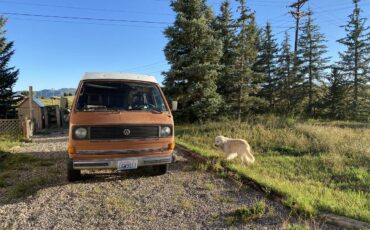 Volkswagen-Westfalia-vanagon-1983-3