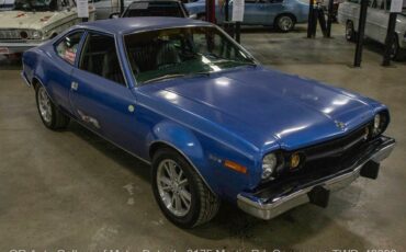 AMC-Hornet-1974-6