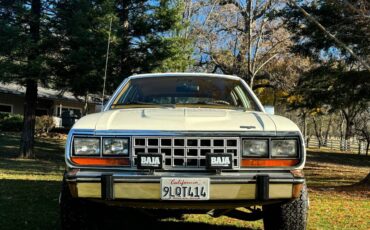 Amc-Eagle-1986