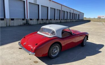 Austin-Healey-100-1955-8