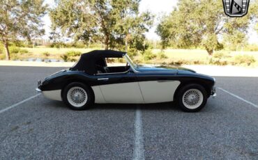 Austin-Healey-3000-1960-3