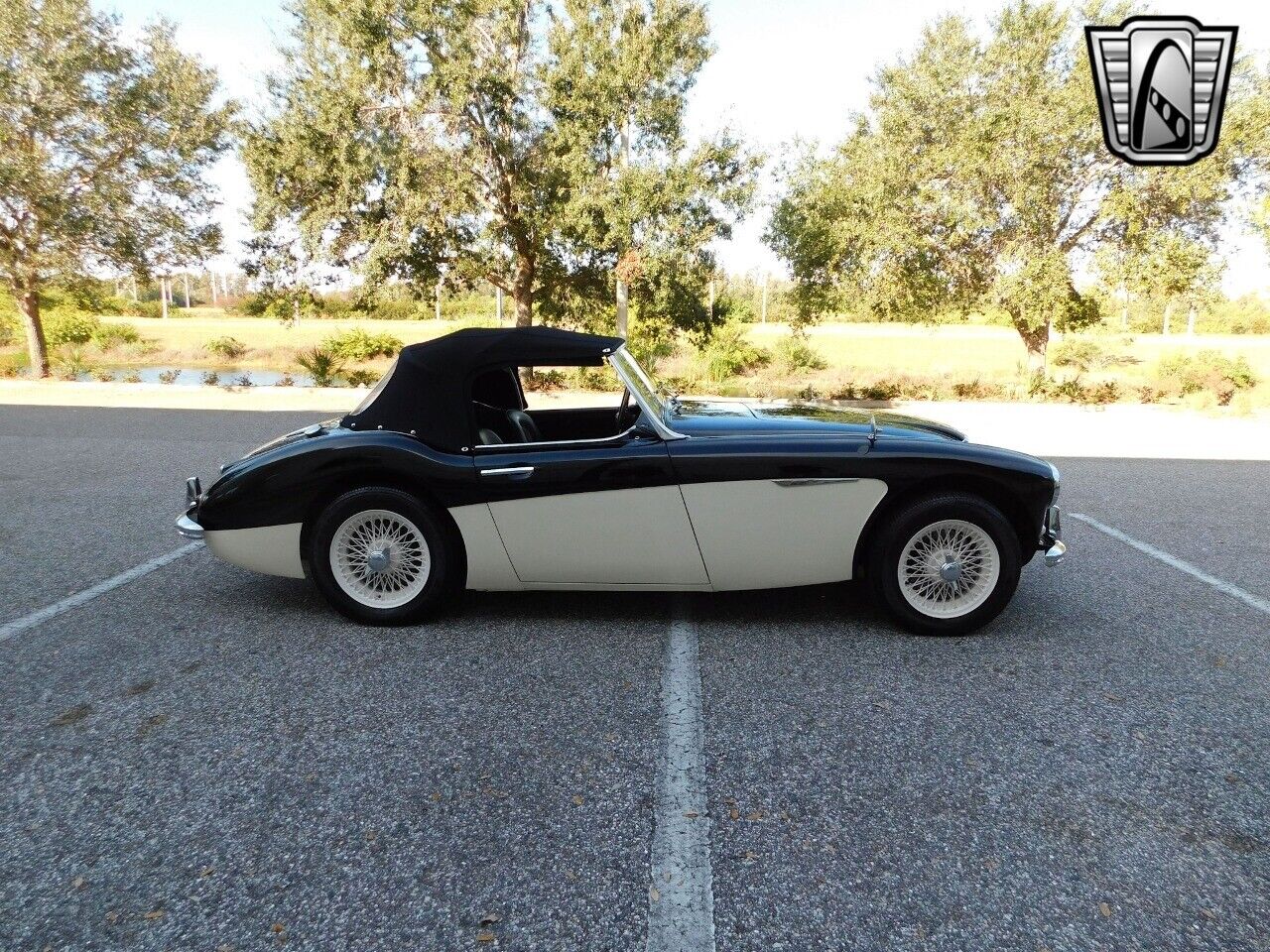 Austin-Healey-3000-1960-3