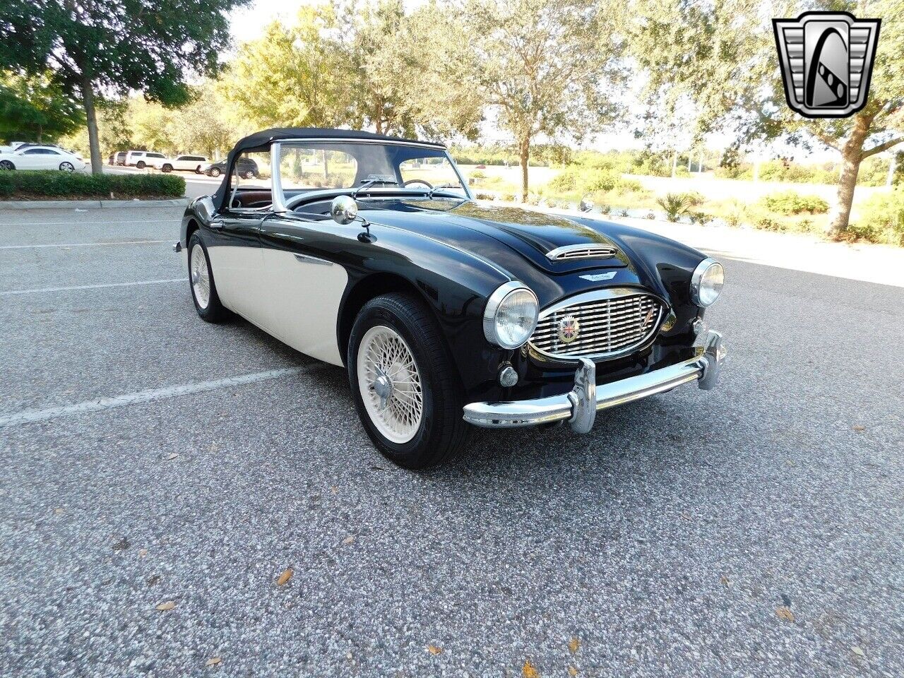 Austin-Healey-3000-1960-6