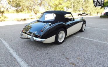 Austin-Healey-3000-1960-7