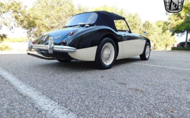 Austin-Healey-3000-1960-8