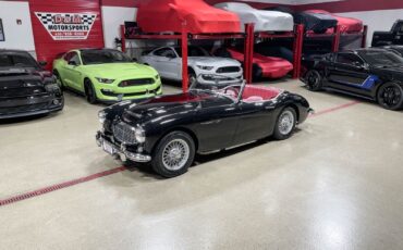 Austin-Healey-3000-Cabriolet-1960-26