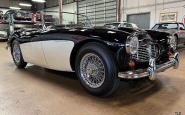 Austin-Healey-3000-MK1-BN7-Roadster-1961-11