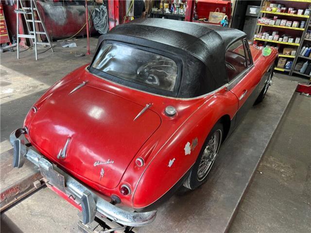 Austin-Healey-3000-MKII-BJ7-1963-7