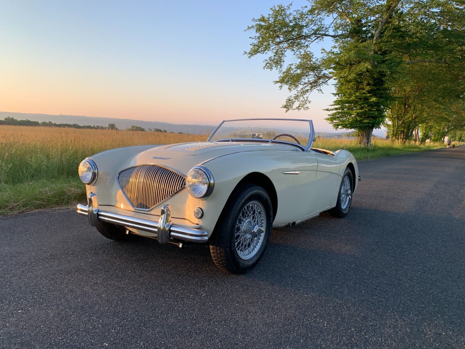 Austin-Healey-Other-Cabriolet-1956-3