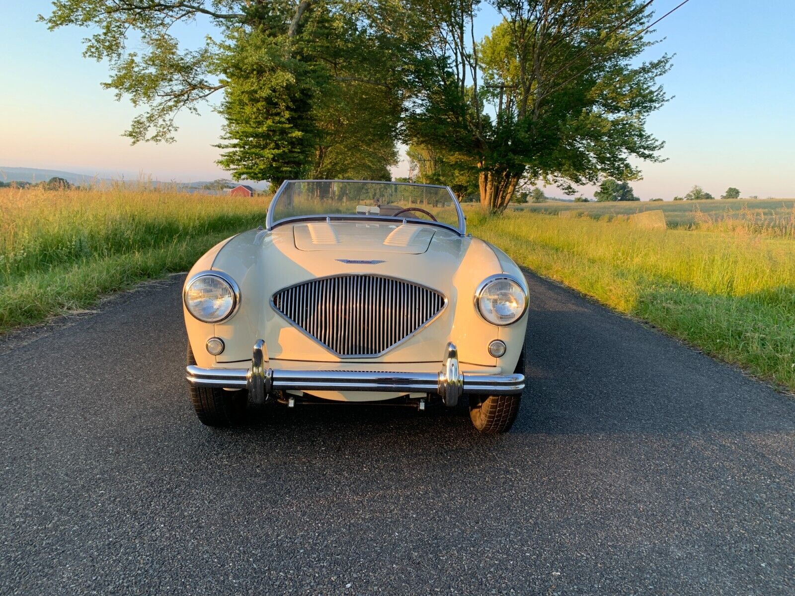 Austin-Healey-Other-Cabriolet-1956-4