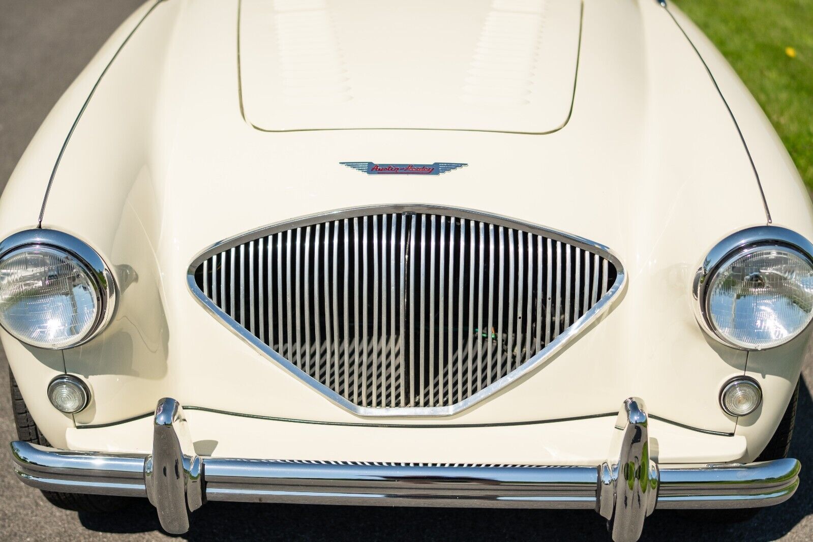 Austin-Healey-Other-Cabriolet-1956-5