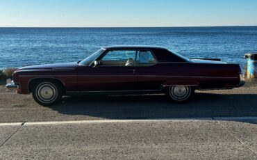 Buick-Electra-1973-1