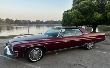 Buick-Electra-1973-12