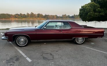 Buick-Electra-1973-19