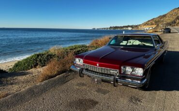 Buick-Electra-1973-2