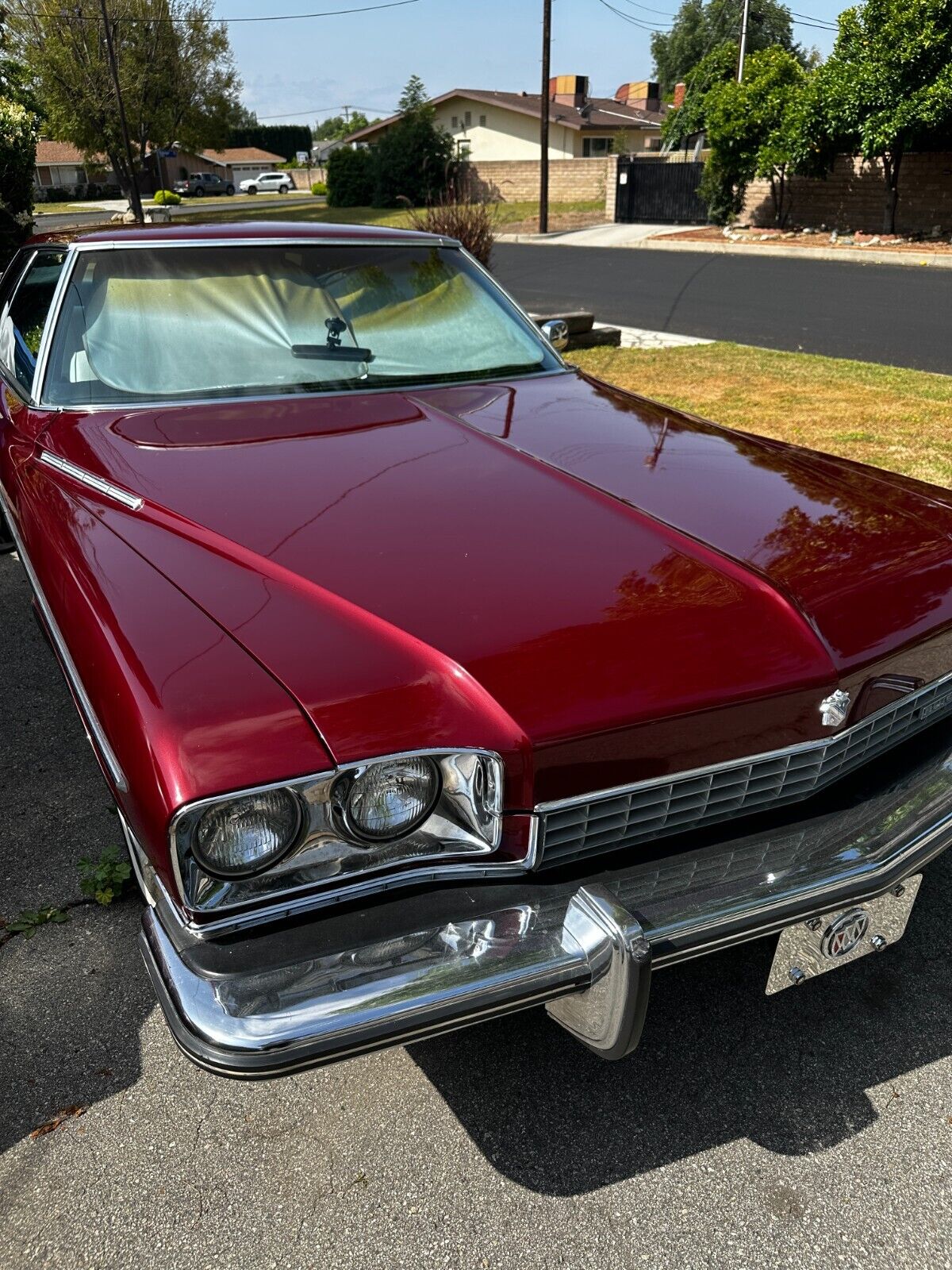 Buick-Electra-1973-6