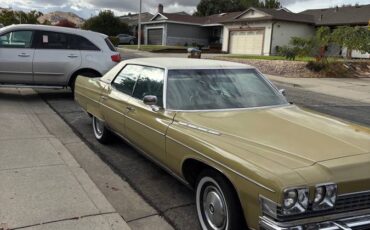 Buick-Electra-225-1974-3