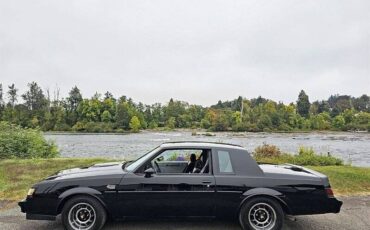 Buick-Regal-grand-national-turbo-1987-12