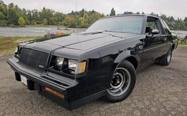 Buick-Regal-grand-national-turbo-1987-13