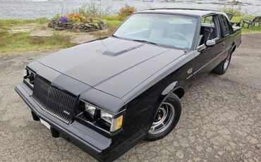 Buick-Regal-grand-national-turbo-1987-14