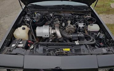 Buick-Regal-grand-national-turbo-1987-17