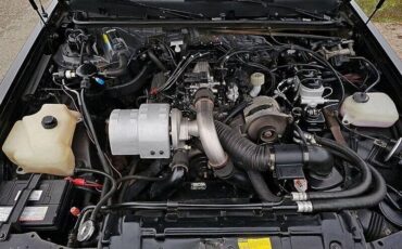 Buick-Regal-grand-national-turbo-1987-18