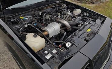 Buick-Regal-grand-national-turbo-1987-23