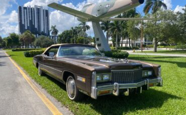 Cadillac-Eldorado-Cabriolet-1976-12