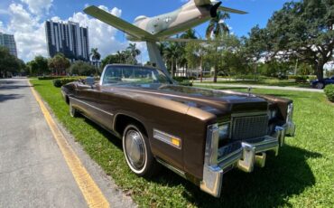 Cadillac-Eldorado-Cabriolet-1976-13