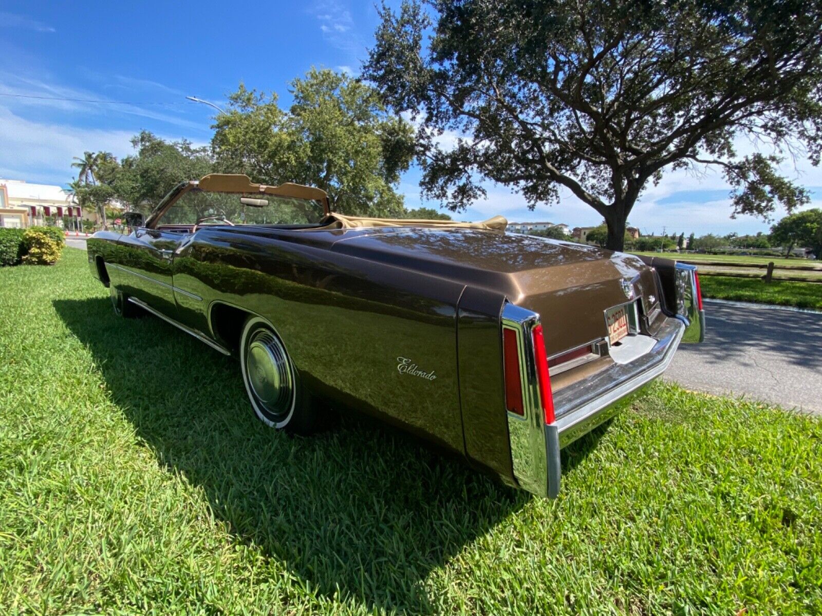 Cadillac-Eldorado-Cabriolet-1976-14