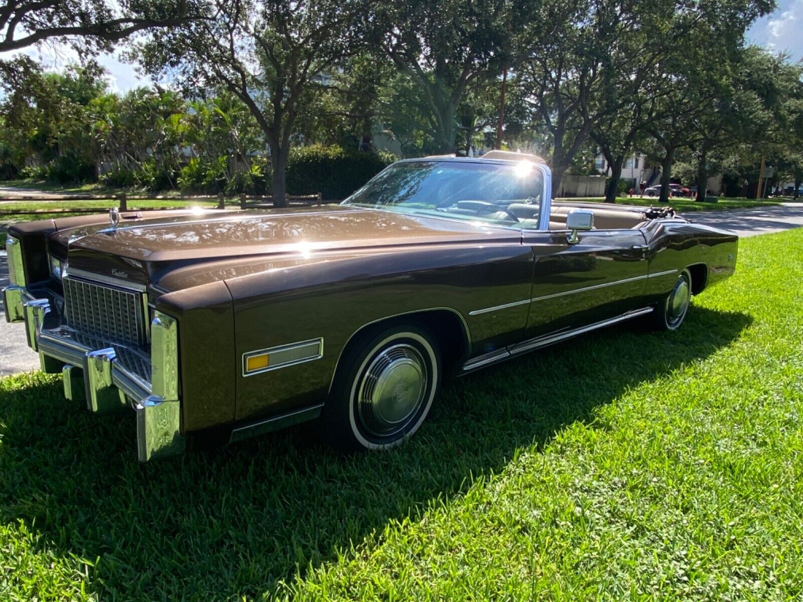 Cadillac-Eldorado-Cabriolet-1976-15