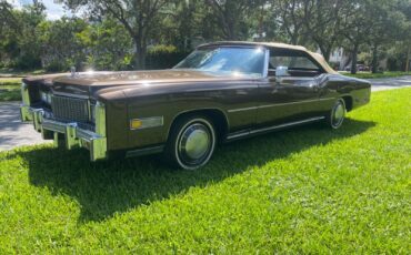 Cadillac-Eldorado-Cabriolet-1976-30