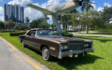 Cadillac-Eldorado-Cabriolet-1976-31