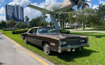 Cadillac-Eldorado-Cabriolet-1976-9