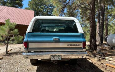 Chevrolet-Blazer-12-ton-1981-2