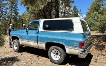 Chevrolet-Blazer-12-ton-1981-3