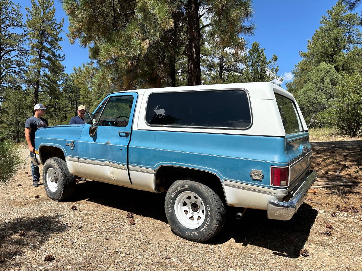 Chevrolet-Blazer-12-ton-1981-3